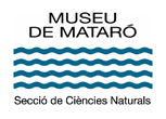 Museu de Matar -Secci de Cincies Naturals